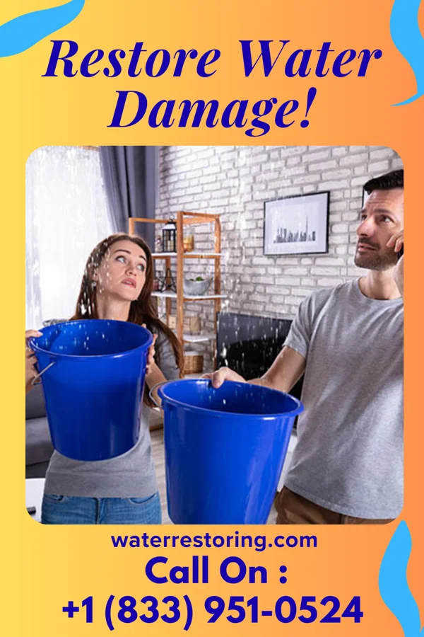water restoration Expert Water Damage Masters Edison