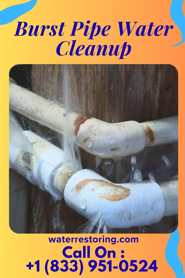 Burst Pipe Water Cleanup in Edison, OH