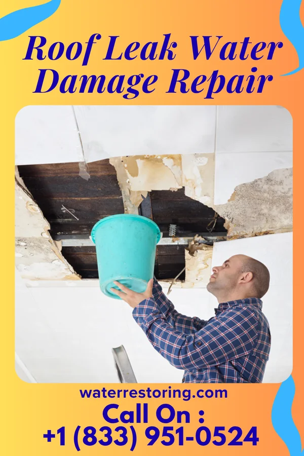 Roof Leak Water Damage Repair in Edison, OH