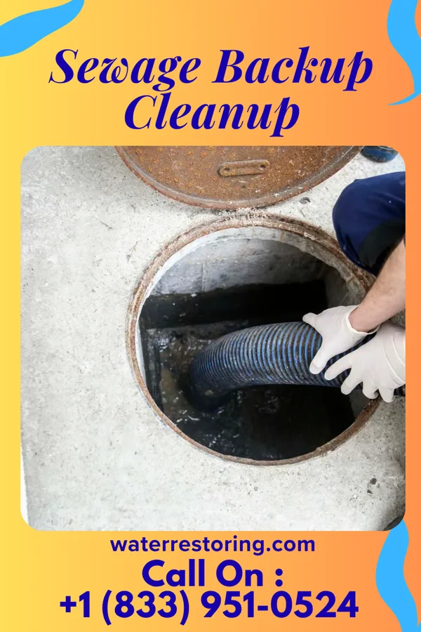 Sewage Backup Cleanup in Edison, OH