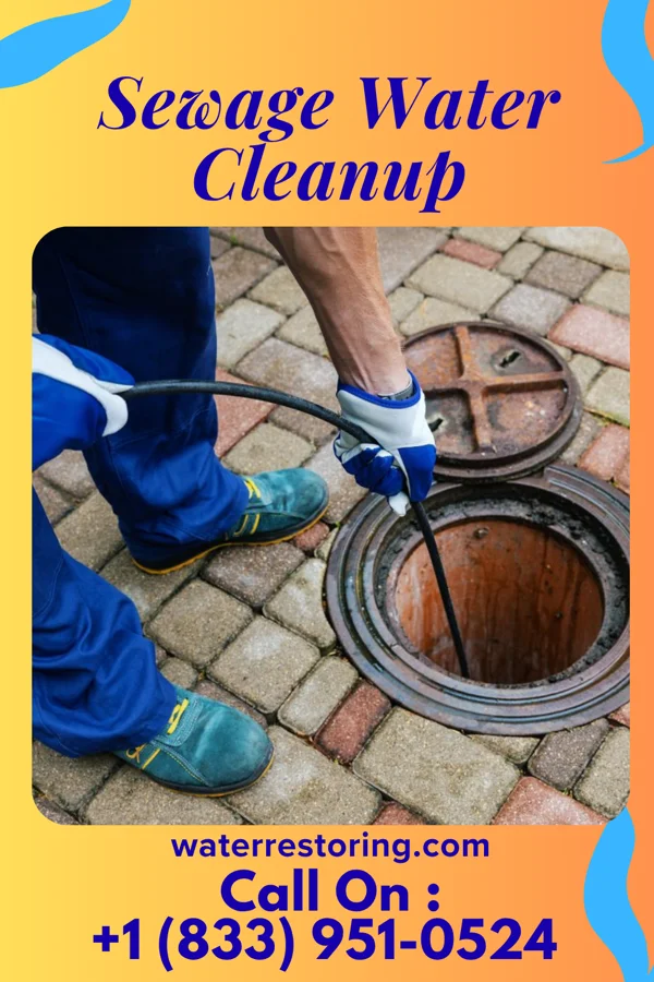 Sewage Water Cleanup in Edison, OH